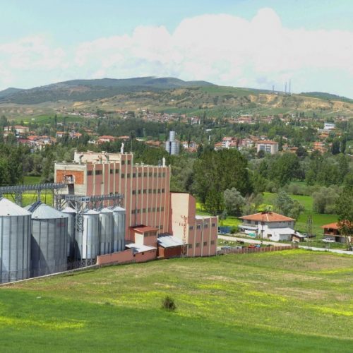 WhatsApp Image 2022-11-23 at 16.53.51