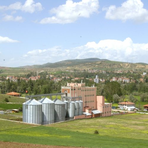 WhatsApp Image 2022-11-23 at 16.53.53 (1)