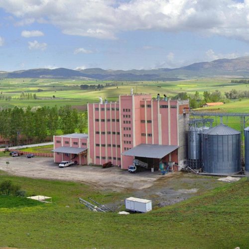 WhatsApp Image 2022-11-23 at 16.53.53 (4)